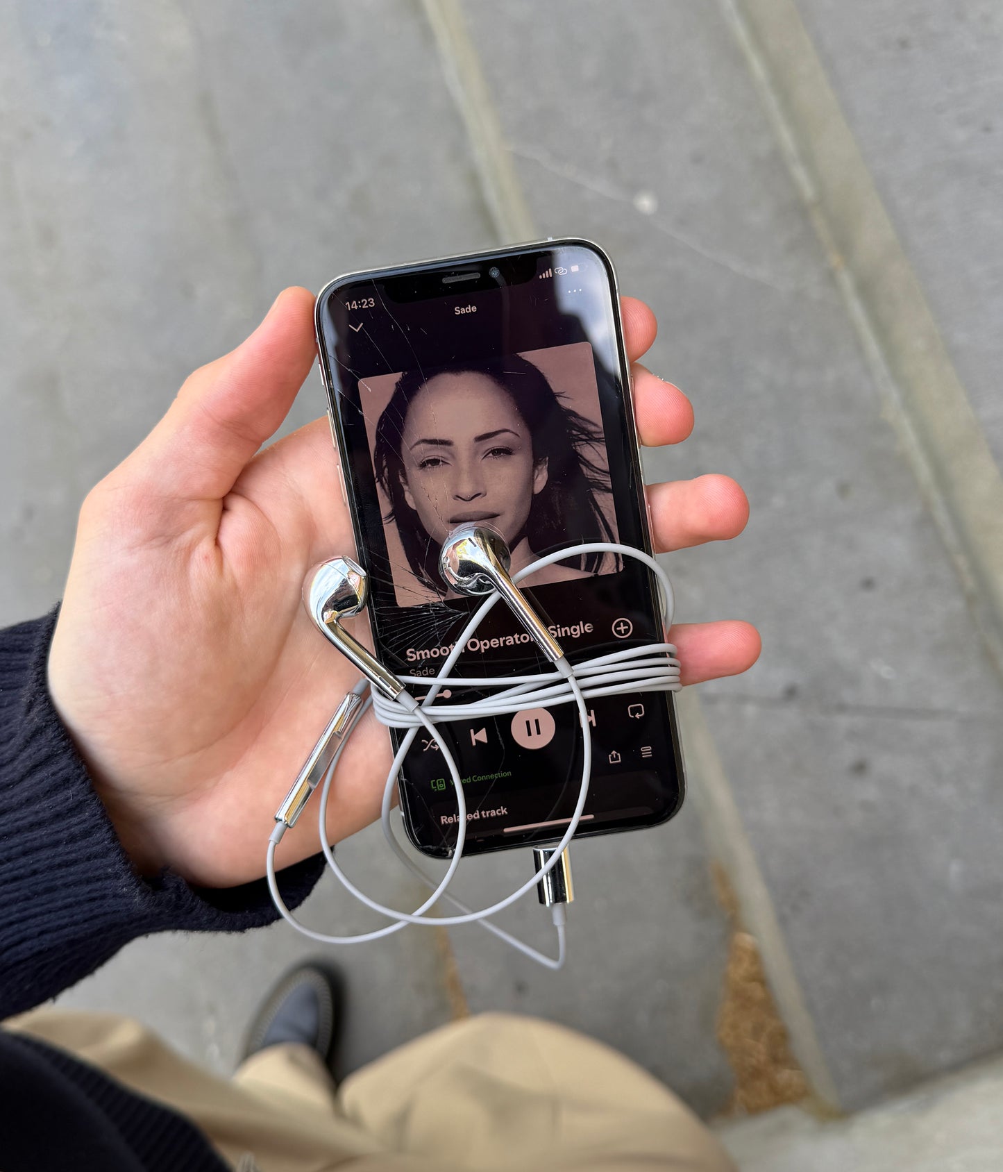 Wired Earbuds - Silver (Preorder 6-7 weeks)